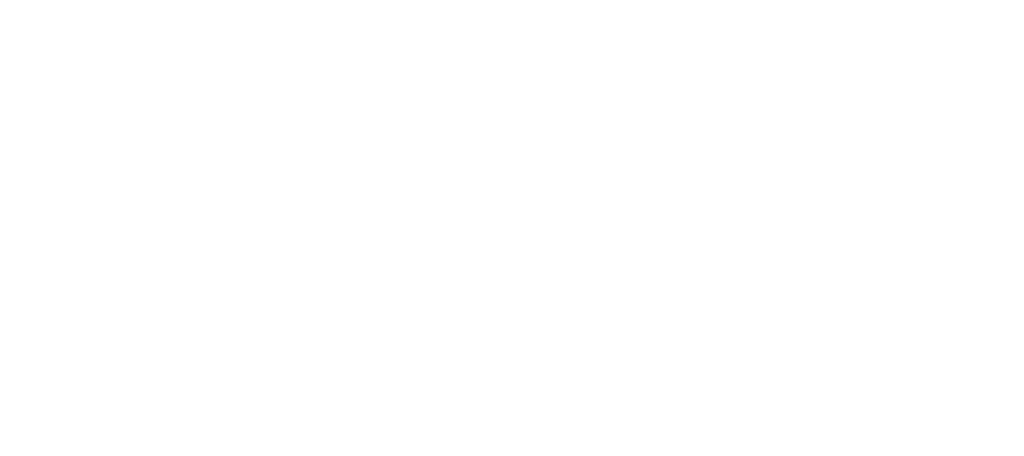 Logo canaã ativa