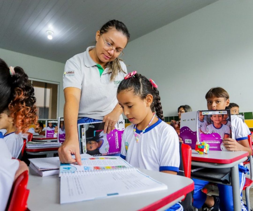 Livro-PIP-3-1024x682